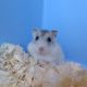 IMG-20250224-WA0000