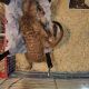 IMG-20260328-WA0010